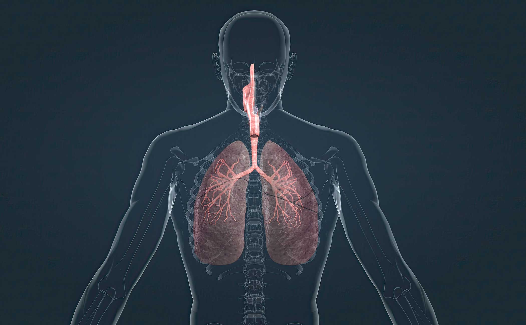 Što trebamo znati o zdravlju pluća prikaz